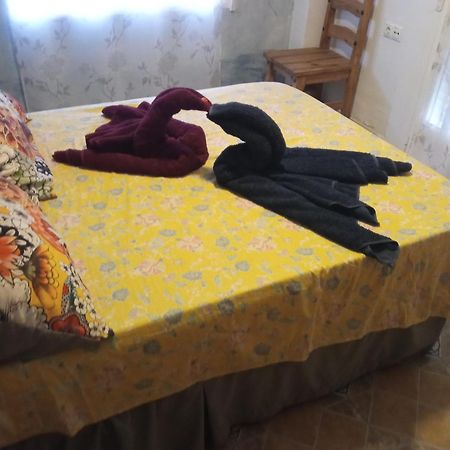 Apartamento Maite Guardamar del Segura Δωμάτιο φωτογραφία